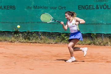 Bild 164 - RL TC an der Schirnau - SV Zehlendorfer Wespen : Ergebnis: 9:0